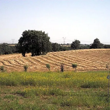 Poderi Di 아파트 트라글리아텔라