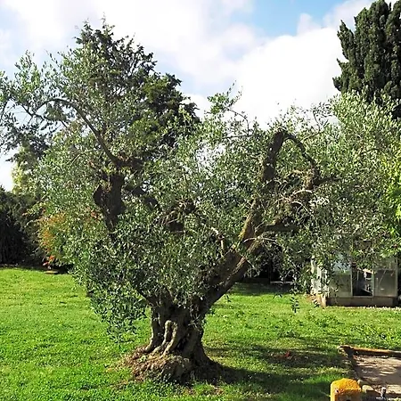 Poderi Di