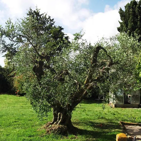 Poderi Di Appartamento *