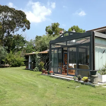 Poderi Di * Tragliatella