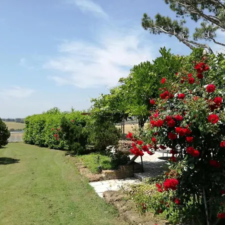 Poderi Di Tragliatella