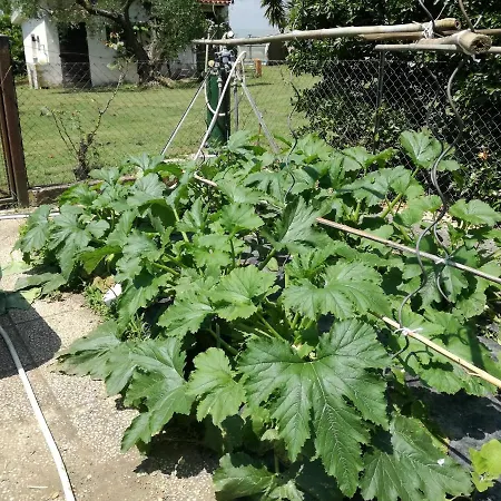 Poderi Di Tragliatella