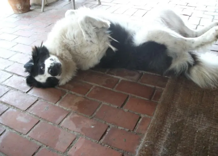 Poderi Di Διαμέρισμα