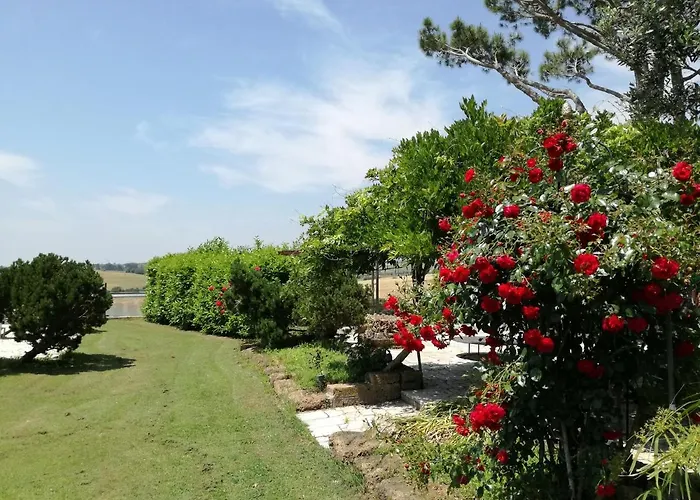Poderi Di Tragliatella