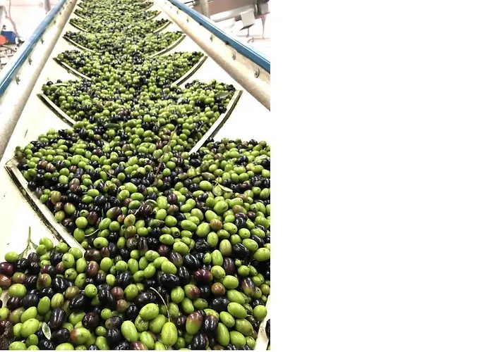 Poderi Di Διαμέρισμα